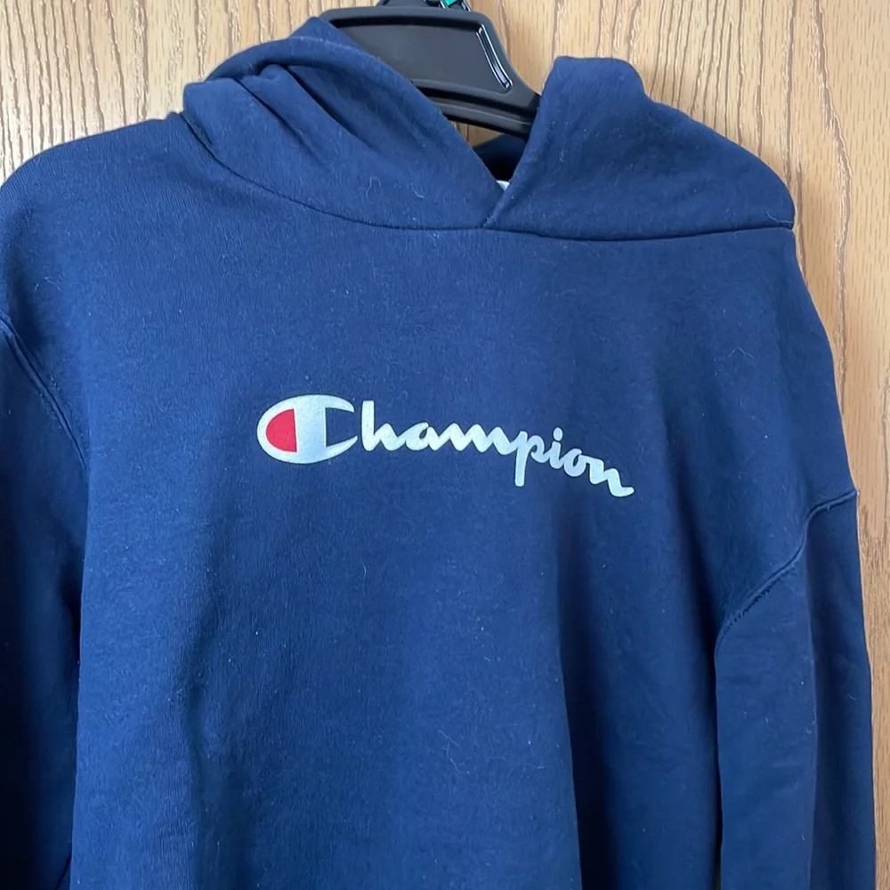 Champion Eco Authentic Boys Hoodie Sz YL - Picture 2 of 4